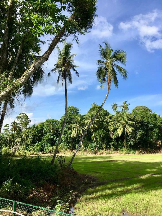 Uyana Boutique Hotel And Retreat Adults Only Ahangama Ngoại thất bức ảnh
